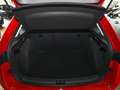 Skoda Scala 1.0 TSI Cool LED Sitzheiz. Parkpilot Telefon Rot - thumbnail 14