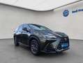 Lexus Sonstige NX350h 4x4 Executive Alle Extras Modeljahr 26 Grün - thumbnail 8