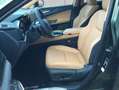 Lexus Sonstige NX350h 4x4 Executive Alle Extras Modeljahr 26 Grün - thumbnail 10
