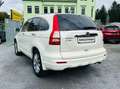Honda CR-V Executive 2.HAND PANORAMADACH LEDER KLIMA ALU Weiß - thumbnail 4