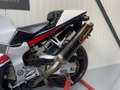 Honda VTR 1000 SP2 *Akrapovic - thumbnail 19