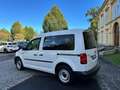 Volkswagen Caddy Kombi 2,0 TDI *5 Sitze, Klima, Tempomat* 1. Bes... Weiß - thumbnail 9