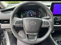 Toyota Highlander Grand Highlander 2.5 Hybrid Luxury Срібний - thumbnail 8