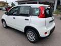 Fiat Panda 1.0 FireFly S&S Hybrid - PREZZO PROMO - KM.0 Bianco - thumbnail 3