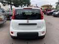 Fiat Panda 1.0 FireFly S&S Hybrid - PREZZO PROMO - KM.0 Blanc - thumbnail 5