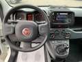 Fiat Panda 1.0 FireFly S&S Hybrid - PREZZO PROMO - KM.0 Blanco - thumbnail 11