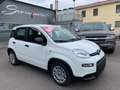 Fiat Panda 1.0 FireFly S&S Hybrid - PREZZO PROMO - KM.0 Blanc - thumbnail 1