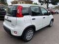 Fiat Panda 1.0 FireFly S&S Hybrid - PREZZO PROMO - KM.0 Blanco - thumbnail 6