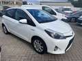 Toyota Yaris Hybrid Edition 2014/Alu/RFK/Automatik Weiß - thumbnail 11