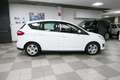 Ford C-Max 1.0 EcoBoost 100CV Start&Stop Plus Bianco - thumbnail 3
