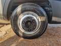Iveco Daily 60C15 BTOR 3.0 CELLLA ISOTERMICA Bianco - thumbnail 6