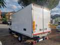 Iveco Daily 60C15 BTOR 3.0 CELLLA ISOTERMICA Bianco - thumbnail 5