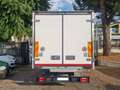Iveco Daily 60C15 BTOR 3.0 CELLLA ISOTERMICA Bianco - thumbnail 9