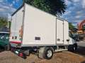 Iveco Daily 60C15 BTOR 3.0 CELLLA ISOTERMICA Bianco - thumbnail 4