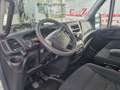 Iveco Daily 60C15 BTOR 3.0 CELLLA ISOTERMICA Bianco - thumbnail 14