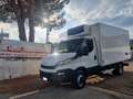 Iveco Daily 60C15 BTOR 3.0 CELLLA ISOTERMICA Bianco - thumbnail 1