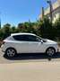 SEAT Ibiza 5p 1.2 tdi cr Reference Ecomotive - thumbnail 4
