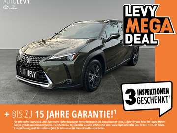 Executive *NAVI*LEDER*CARPLAY&AA*