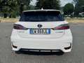 Lexus CT 200h 1.8 F-Sport (style) cvt Bianco - thumbnail 14