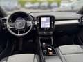 Volvo XC40 B4 AWD Plus Dark mit AHK,Standheizung,Google,Front Gris - thumbnail 10