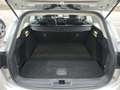 Ford Focus FORD FOCUS SW 1.5 ECOBLUE 120CV - MANUALE, CAR PLA Argent - thumbnail 23