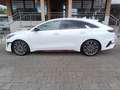 Kia ProCeed / pro_cee'd PROCEED 1.6T DCT7 GT |KOM Weiß - thumbnail 10