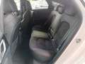 Kia ProCeed / pro_cee'd PROCEED 1.6T DCT7 GT |KOM Weiß - thumbnail 23