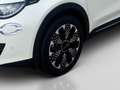 Fiat 600 Hybrid mHEV 110 6-Gang eDCT La Prima Weiß - thumbnail 8