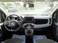 Fiat Panda Panda Cross 1.0 firefly hybrid City Cross s&s Grigio - thumbnail 14
