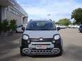 Fiat Panda Panda Cross 1.0 firefly hybrid City Cross s&s Grigio - thumbnail 2