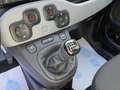Fiat Panda Panda Cross 1.0 firefly hybrid City Cross s&s Grigio - thumbnail 12