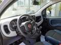 Fiat Panda Panda Cross 1.0 firefly hybrid City Cross s&s Grigio - thumbnail 8