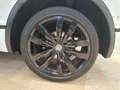 Volkswagen Tiguan 1.6 tdi R-Line 115cv  Spettacolare !!! Bianco - thumbnail 5