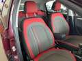 Fiat Punto Easy 5p 1.4 natural power 77cv "X Neopatentati" Rood - thumbnail 14