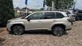 Subaru Forester Exclusive CVT 4WD Gold - thumbnail 6