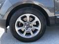 Ford EcoSport - 1.5 Ecoblue 100 CV Start&Stop Titanium Gris - thumbnail 7