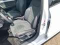 SEAT Ibiza FR Black Edition 1.0 TSI 85 kW (116 PS) 7-Gang-DSG Blanc - thumbnail 15