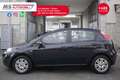 Fiat Punto FIAT Punto 1.3 MJT II 75 CV 5 porte Lounge Unicop Blu/Azzurro - thumbnail 4