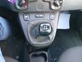 Fiat Panda III 2021 1.0 firefly hybrid s&s 70cv - thumbnail 23