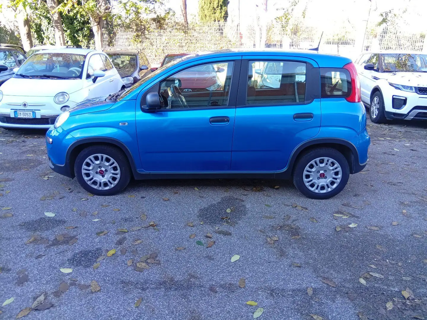 Fiat Panda III 2021 1.0 firefly hybrid s&s 70cv - 2
