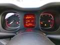 Fiat Panda III 2021 1.0 firefly hybrid s&s 70cv - thumbnail 22