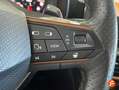 CUPRA 1.5 eTSI 110kW 150CV) DSG Gris - thumbnail 30