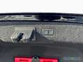 Audi A8 50 TDI quattro 210(286) kW(PS) tiptronic Schwarz - thumbnail 15