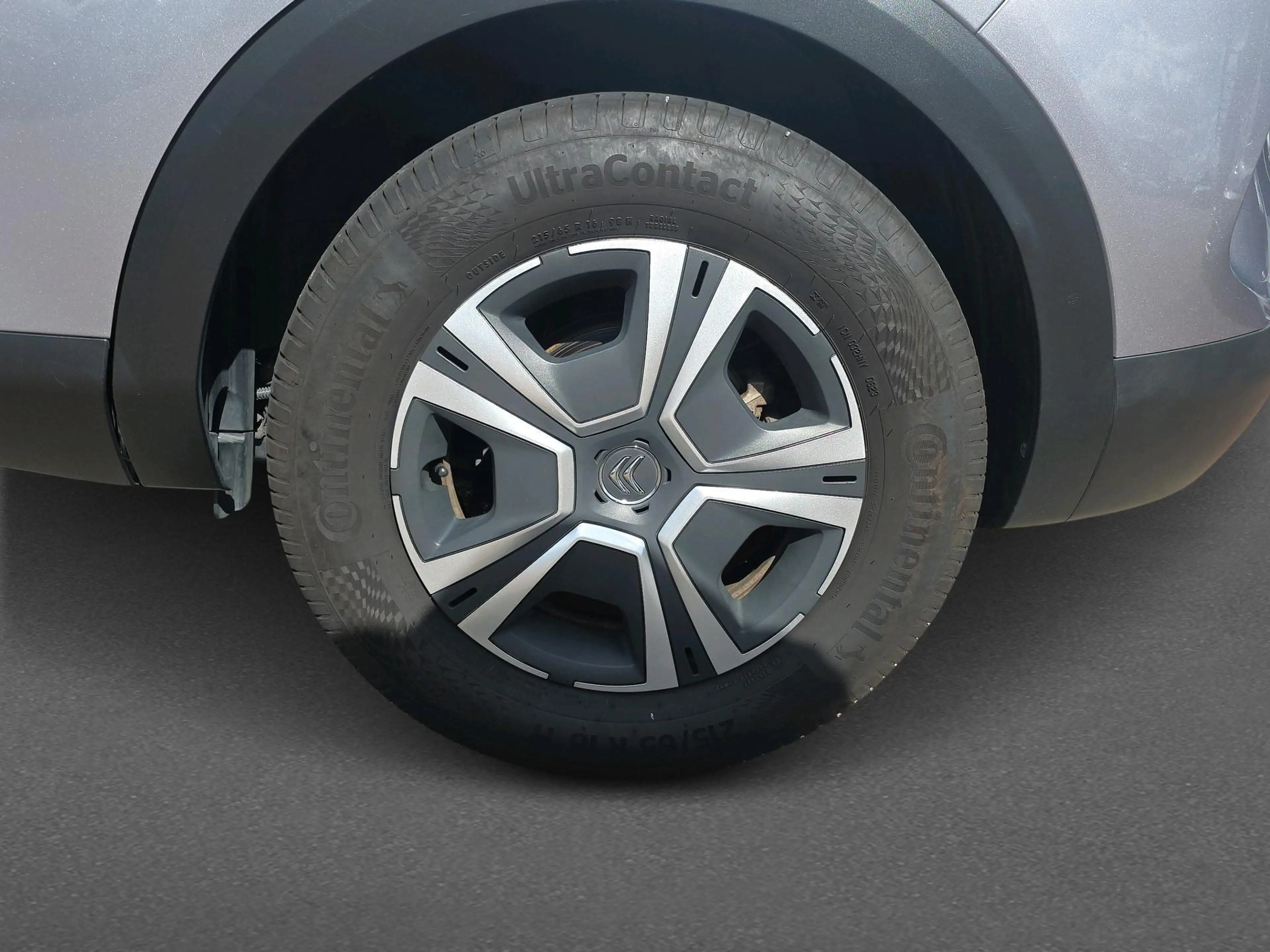 Citroen E-C4 Electric Live 50 kWh — photo 11
