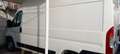 Fiat Ducato 2.2 L2 H2 KM 59000 NO MAIL Bianco - thumbnail 4