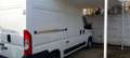 Fiat Ducato 2.2 L2 H2 KM 59000 NO MAIL Bianco - thumbnail 3