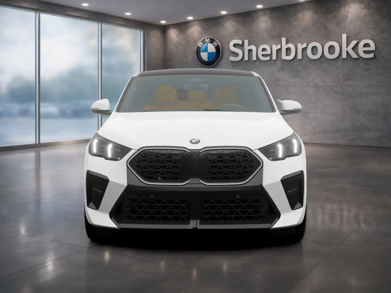 BMW X2 снимка BMW X2