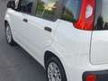 Fiat Panda 1.0 hybrid s&s 70cv - thumbnail 4