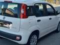 Fiat Panda 1.0 hybrid s&s 70cv - thumbnail 2