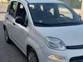 Fiat Panda 1.0 hybrid s&s 70cv - thumbnail 3